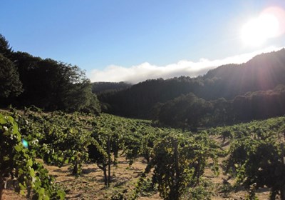 Mayacamas