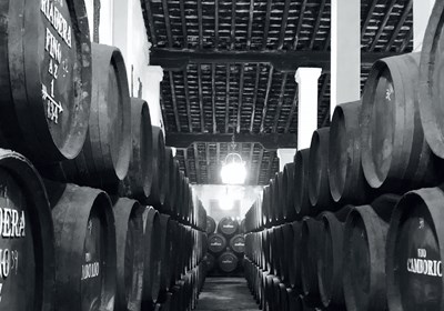 Bodegas San Francisco Javier Viña Corrales Pago Balbaína Fino