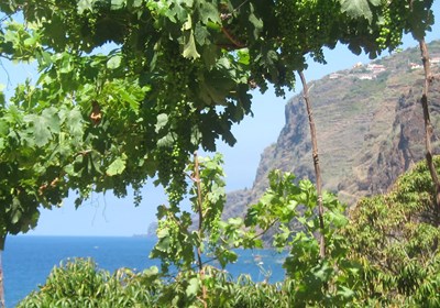 New Fireworks for an Historic Vineyard