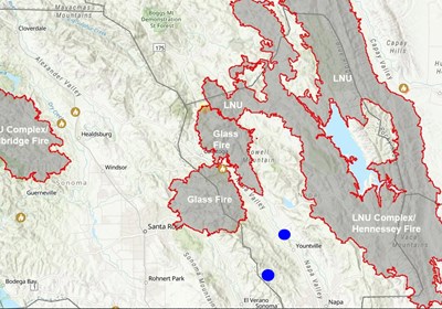 The Great Survivors of the 2020 Napa Fires